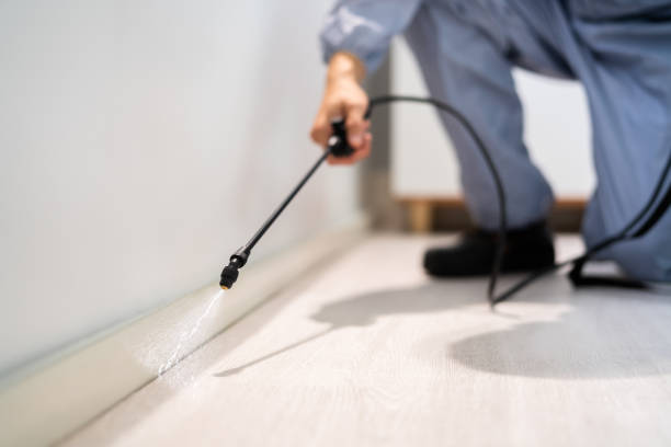 Licensed Pest Control service in Tuttle, OK - Show Me Pest Control