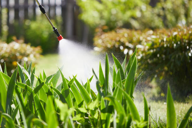 24/7 Emergency Ant Control experts in Tuttle, OK