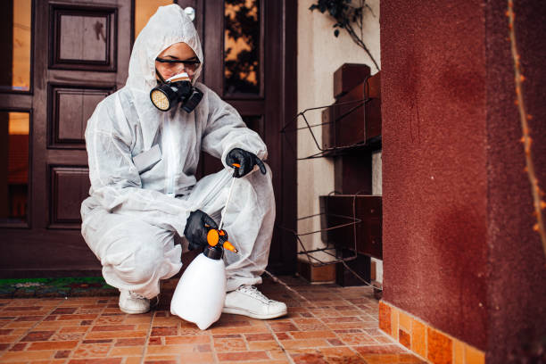 Reliable Ant Control contractor in Tuttle, OK by Show Me Pest Control